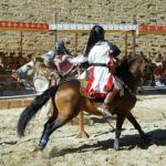 medieval 8