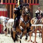 medieval 6