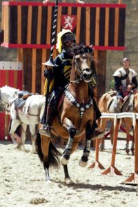 medieval 6