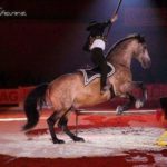 theme espagne 7